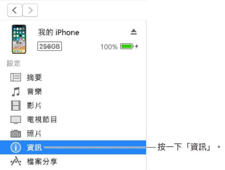 「裝置」視窗,在左側側邊欄選取了「資訊」。