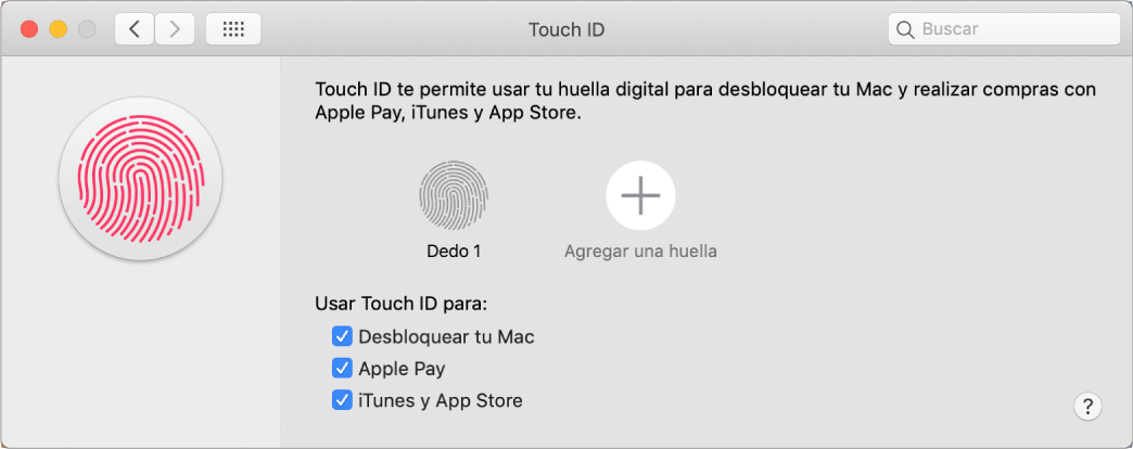 La ventana de preferencias de Touch ID con opciones para agregar una huella digital y usar Touch ID para desbloquear tu Mac, usar Apple Pay, y comprar en iTunes Store, App Store, y Apple Books.