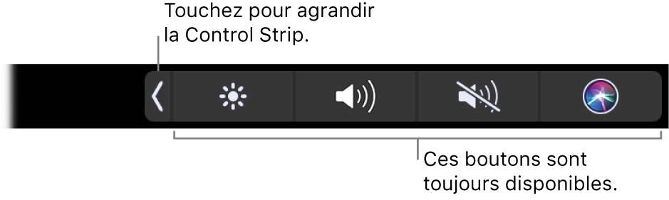 Un écran partiel de la Touch Bar par défaut, affichant la Control Strip réduite. Touchez le bouton de développement pour afficher toute la <NoBreak change_bar="mark">Control Strip</NoBreak>.