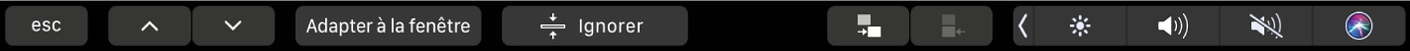 Touch Bar de Keynote affichant les boutons fléchés, les boutons Adapter à la fenêtre et Ignorer la diapositive, ainsi que les boutons permettant d’indenter et de désindenter la diapositive.