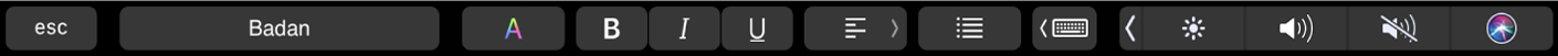 Touch Bar Pages dengan tombol untuk mengubah gaya paragraf, warna teks, pemformatan teks, dan perataan teks. Ada juga tombol saran pengetikan.