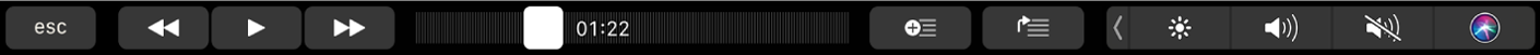 La Touch Bar di iTunes con i pulsanti per mandare indietro, mettere in pausa o mandare avanti velocemente i contenuti in riproduzione. Inoltre, è presente anche la barra di scorrimento per spostarsi all'interno di un brano e i pulsanti per aggiungerlo a una playlist o metterlo in coda.