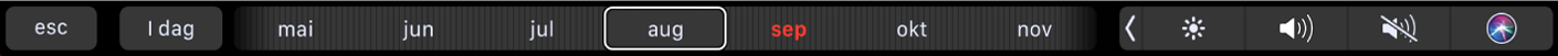 Touch Bar for Kalender med I dag-knappen og en skyveknapp for å velge en måned.