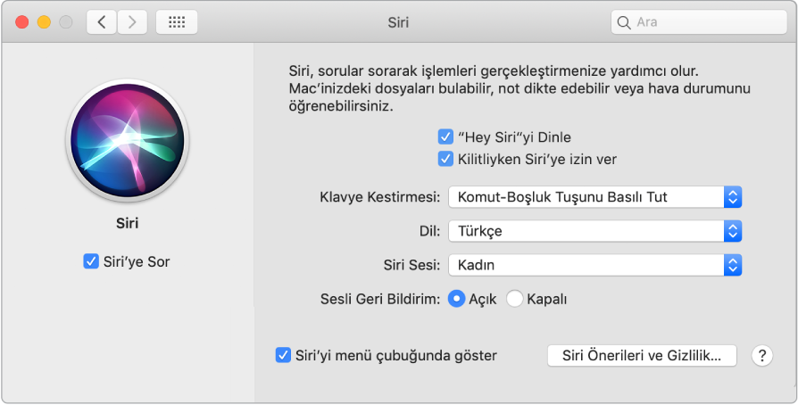 Sol tarafta Siri’ye Sor’u Etkinleştir seçili halde olan ve sağ tarafta “‘Hey Siri’yi Dinle” gibi çeşitli Siri’yi özelleştirme seçenekleri bulunan Siri tercihleri penceresi.