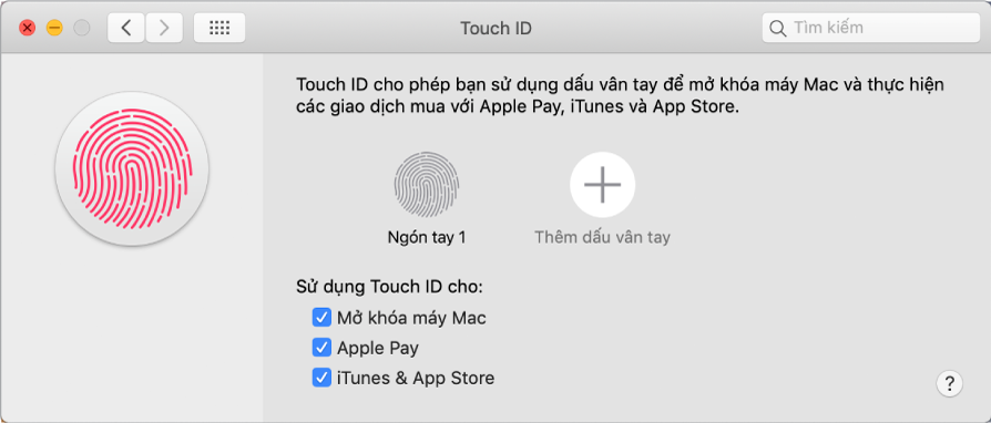 Cửa sổ tùy chọn Touch ID với các tùy chọn để thêm dấu vân tay và sử dụng Touch ID để mở khóa máy Mac, sử dụng Apple Pay và mua từ iTunes Store, App Store và Apple Books.