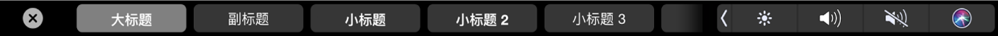 显示段落格式样式(包括大标题、小标题和说明)的 Pages 文稿触控栏。