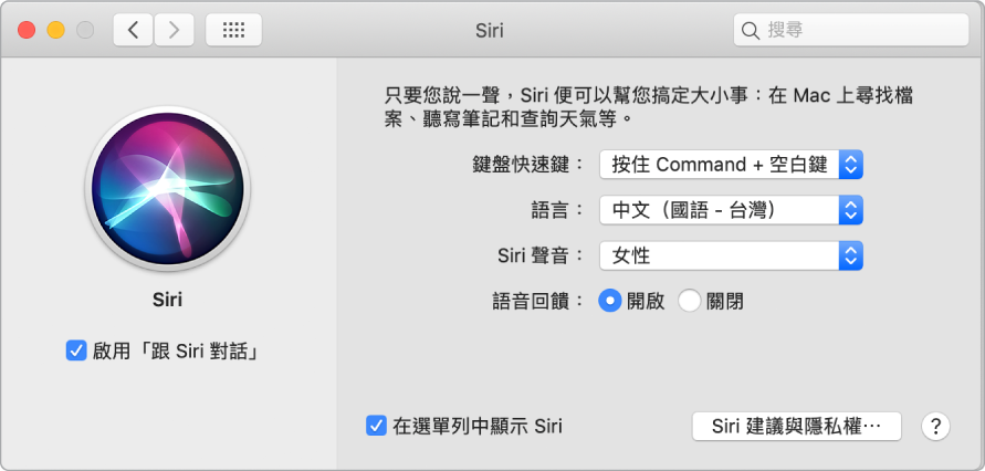 Siri 偏好設定視窗,左側已選擇「啟用跟 Siri 對話」;而右側則是自定 Siri 的數個選項。