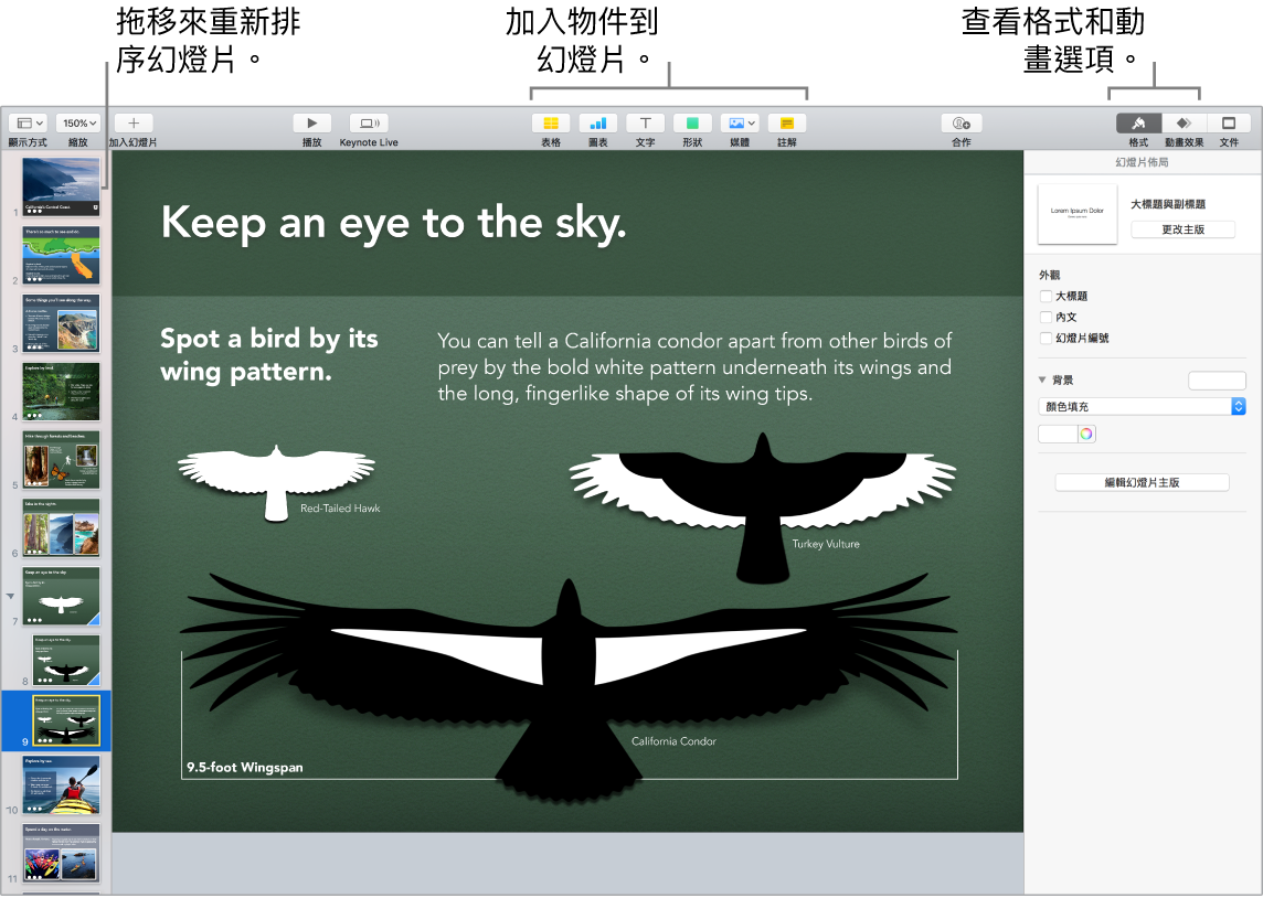 Keynote 視窗,顯示如何重新排序幻燈片,以及標明可讓您將物件加入幻燈片的按鈕,包含格式和動畫選項。