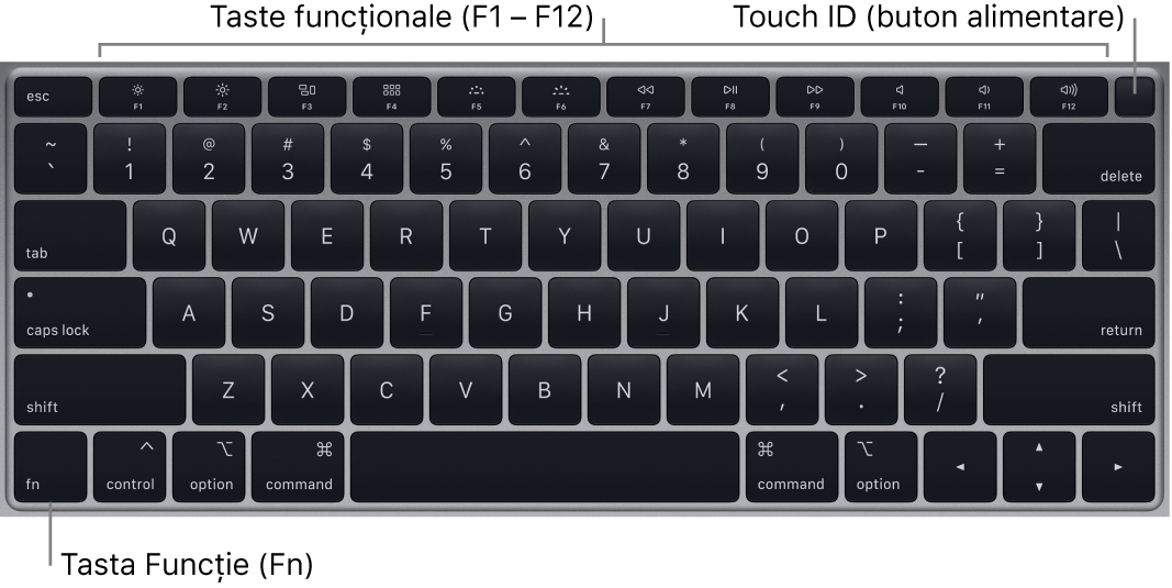 Tastatura MacBook Air afișând rândul de taste funcționale, butonul de alimentare Touch ID în partea de sus și tasta Funcție (Fn) în colțul din stânga jos.