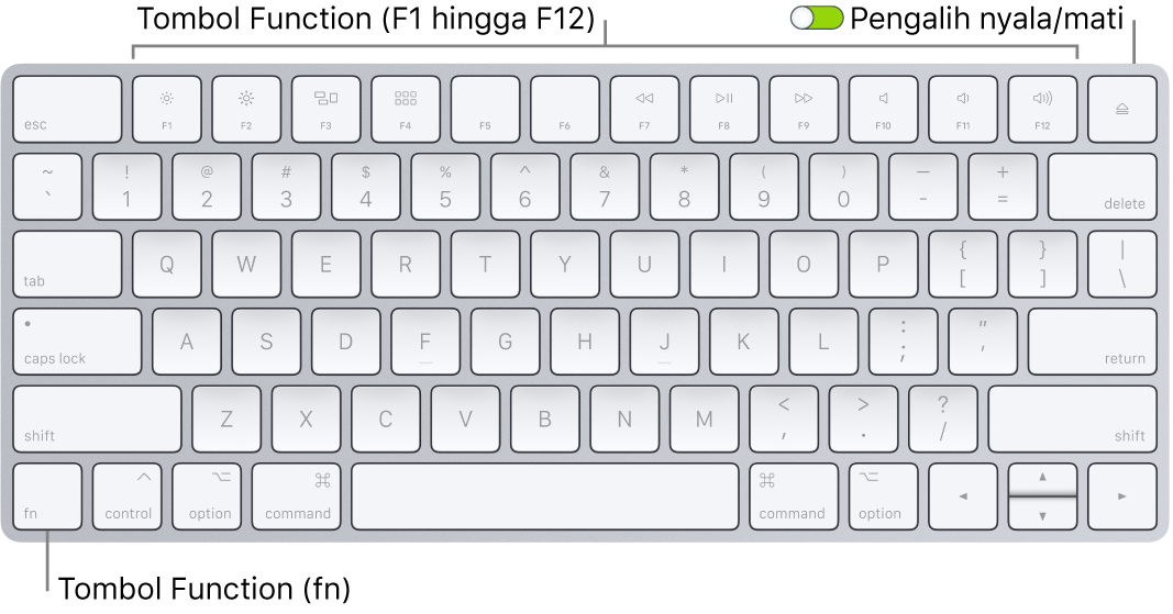 Magic Keyboard menampilkan tombol Function (Fn) di pojok kiri bawah dan pengalih nyala/mati di pojok kanan atas papan ketik.