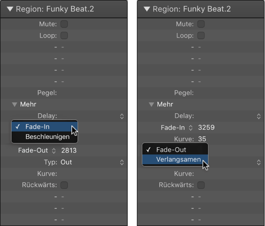 Abbildung. Parameter „Beschleunigen“ und „Verlangsamen“ im Informationsfenster „Region“