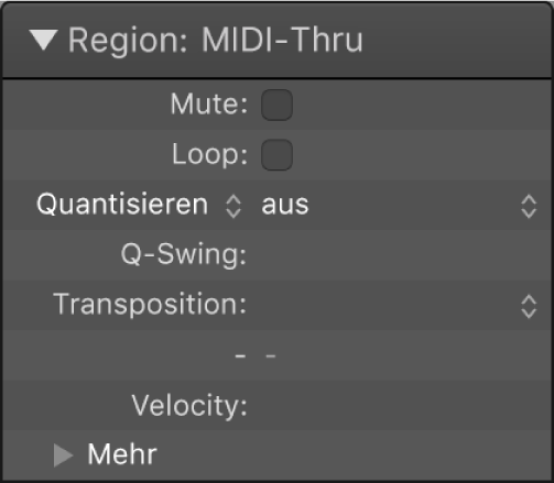 Abbildung. Parameter „Quantisierung“ im Informationsfenster „Region“