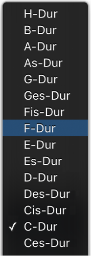 Abbildung. Einblendmenü „Tonart“ in der LCD