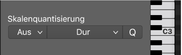 Abbildung. Einblendmenü „Skalenquantisierung“