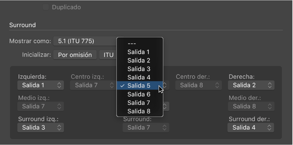 Ilustración. Menú desplegable Salida en el panel de preferencias Surround.