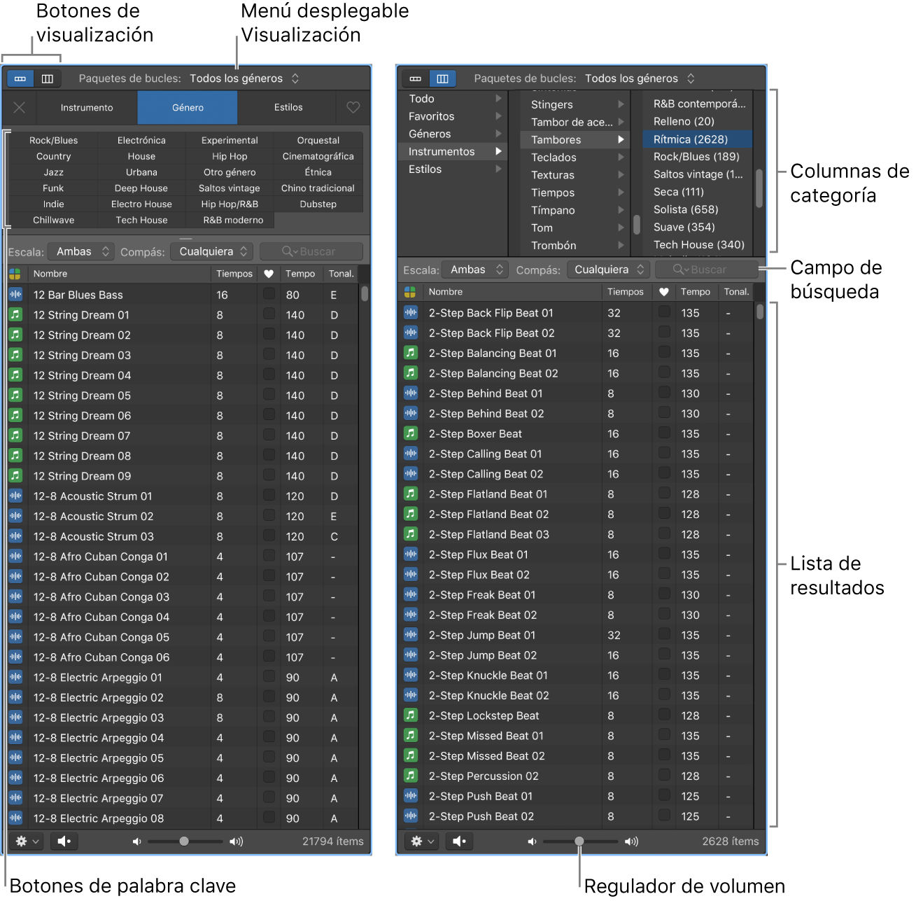 Ilustración. Explorador de bucles.
