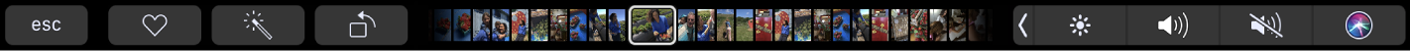 Touch Bar til Fotos med favorit-, rotations- og redigeringsknapper og afspilningsmærket til fotos.