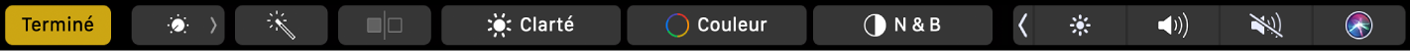 Touch Bar affichant les boutons d’édition des photos : recadrer, appliquer des filtres, ajuster et apporter des retouches, ainsi que le bouton permettant d’accéder à plus d’options.