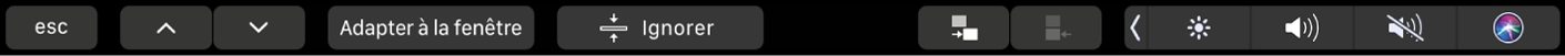 Touch Bar de Keynote affichant les boutons fléchés, les boutons Adapter à la fenêtre et Ignorer la diapositive, ainsi que les boutons permettant d’indenter et de désindenter la diapositive.