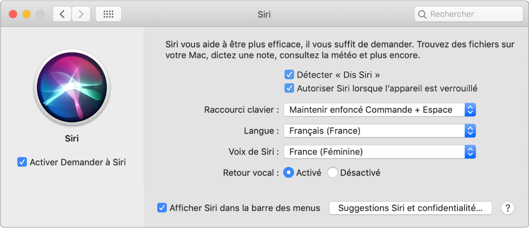 La fenêtre des préférences Siri, avec l’option Activer Demander à Siri sélectionnée à gauche et plusieurs options pour personnaliser Siri à droite, notamment Détecter « Dis Siri ».