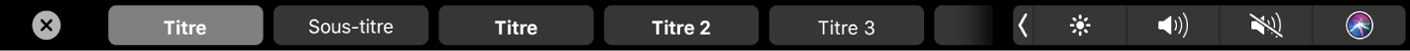 Touch Bar de Pages affichant des styles de mise en forme de paragraphe, notamment Titre, Sous-section et Légende.