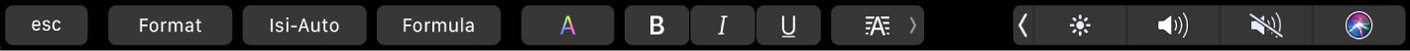 Touch Bar Numbers dengan tombol untuk Format, Isi-Auto, dan Formula. Ada juga tombol pemformatan teks untuk warna, tebal, miring, garis bawah, dan perataan.