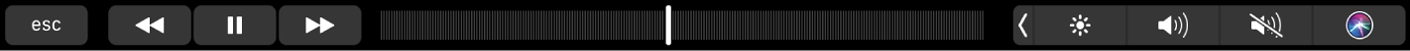 재생 중인 곡을 되감기, 일시 정지 또는 빨리 감기하는 버튼이 있는 음악 앱용 Touch Bar. 노래를 탐색하는 이동 막대도 있음.