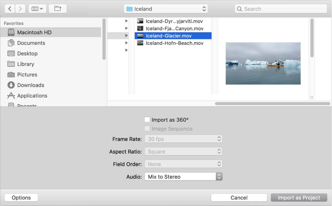 Dialogfenster „Als Projekt importieren“