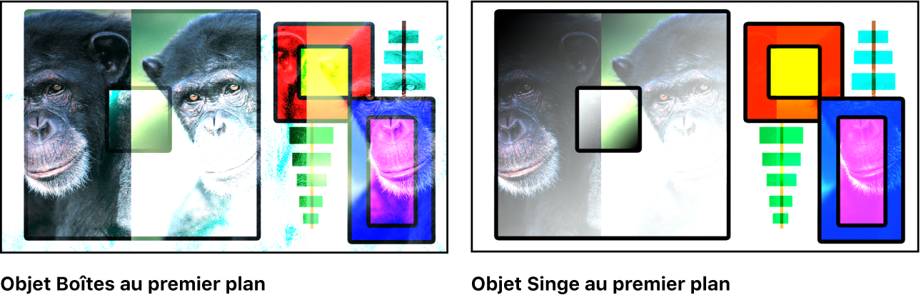 Canevas affichant les boîtes et le singe fusionnés à l’aide du mode Densité couleur –
