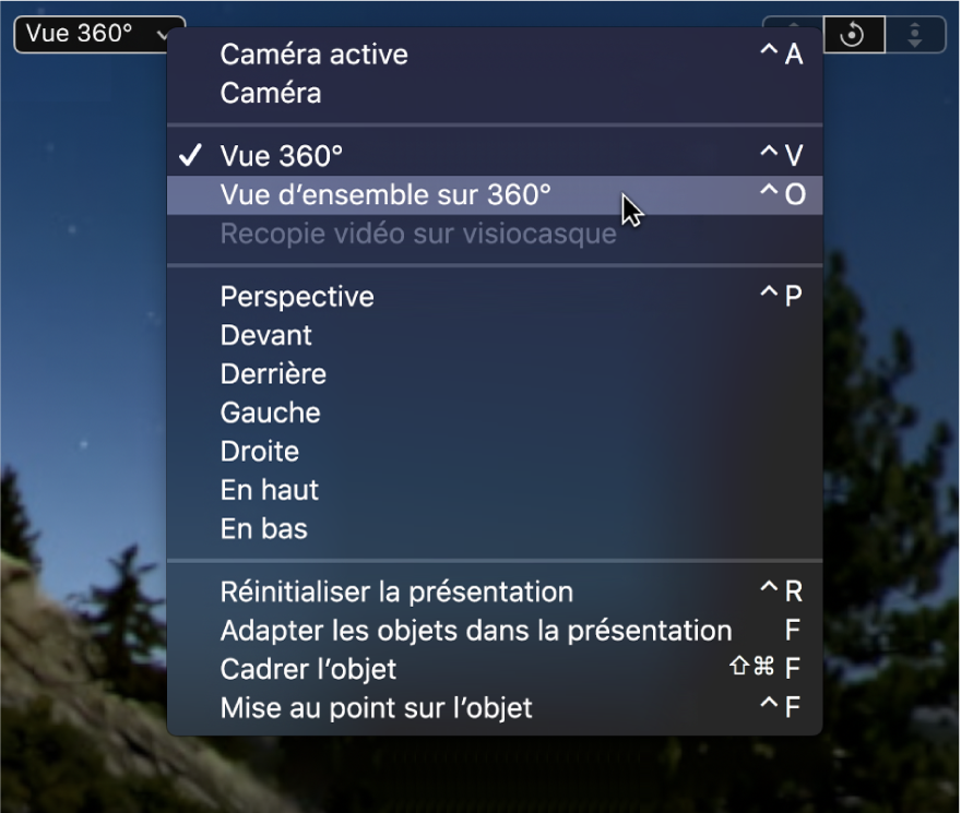 Sélection de l’option « Vue d’ensemble sur 360° » dans le menu local Caméra dans le canevas