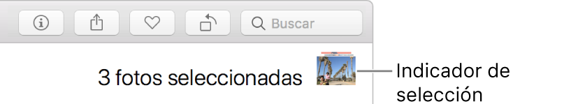 Un indicador de selección con tres fotos seleccionadas.