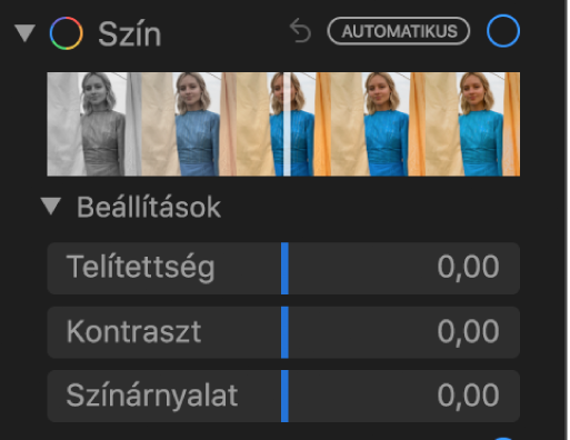A Beállítás panel Szín területe a Telítettség, a Kontraszt és a Színárnyalat csúszkákkal.