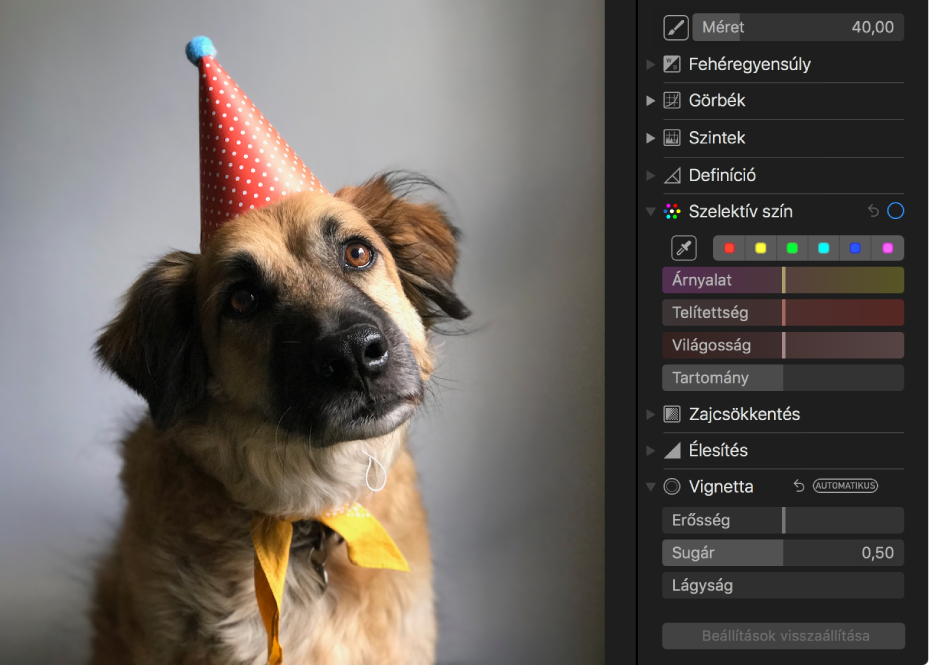 Fotó a Szelektív szín beállítása előtt.