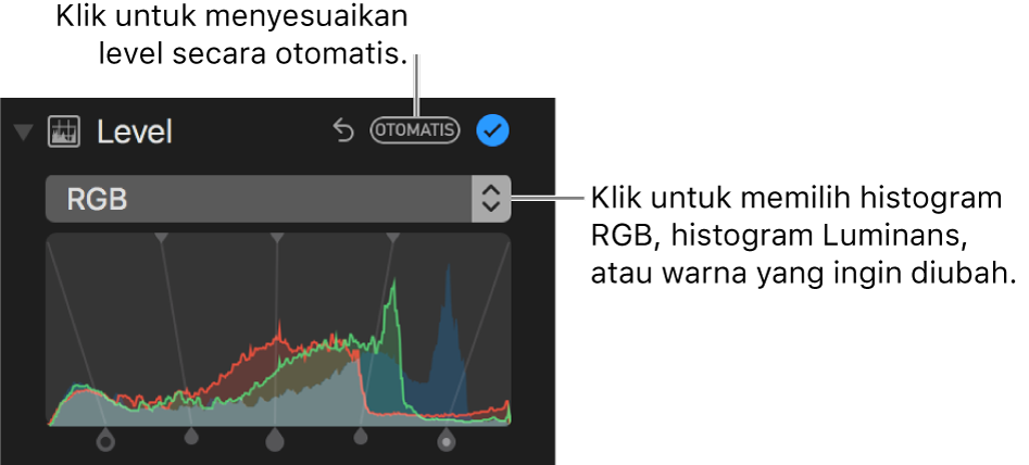 Kontrol tingkat dengan tombol Otomatis di kanan atas.