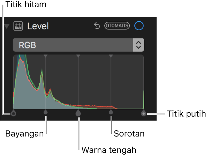 Kontrol tingkat di sepanjang histogram RGB, termasuk (dari kiri ke kanan) titik hitam, bayangan, warna tengah, sorotan, dan titik putih.