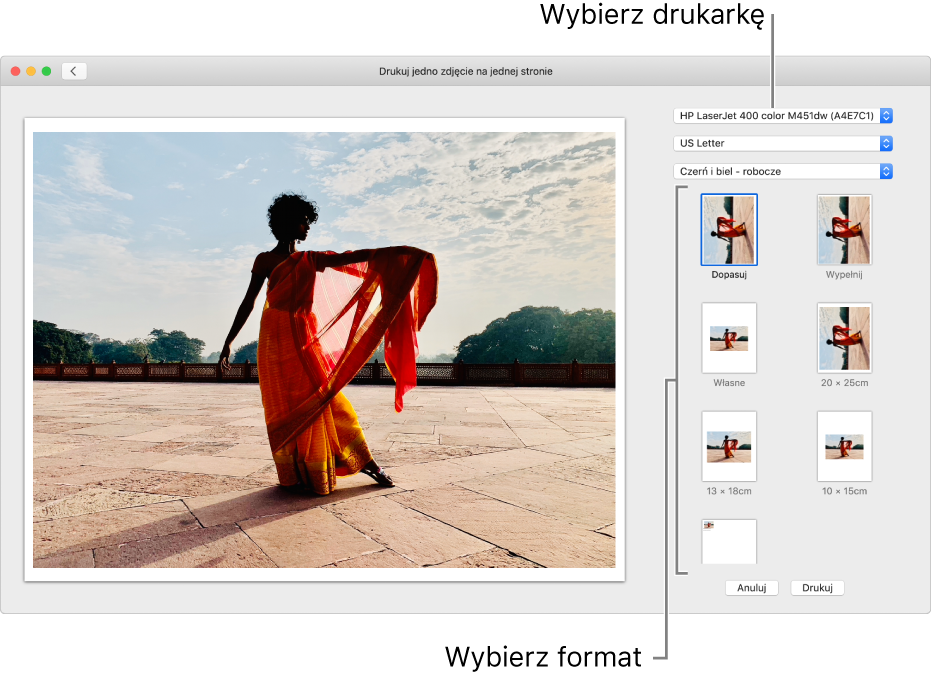 Okno służące do wybierania opcji drukowania, a w nim obszar podglądu druku po lewej stronie i opcje drukowania po prawej.