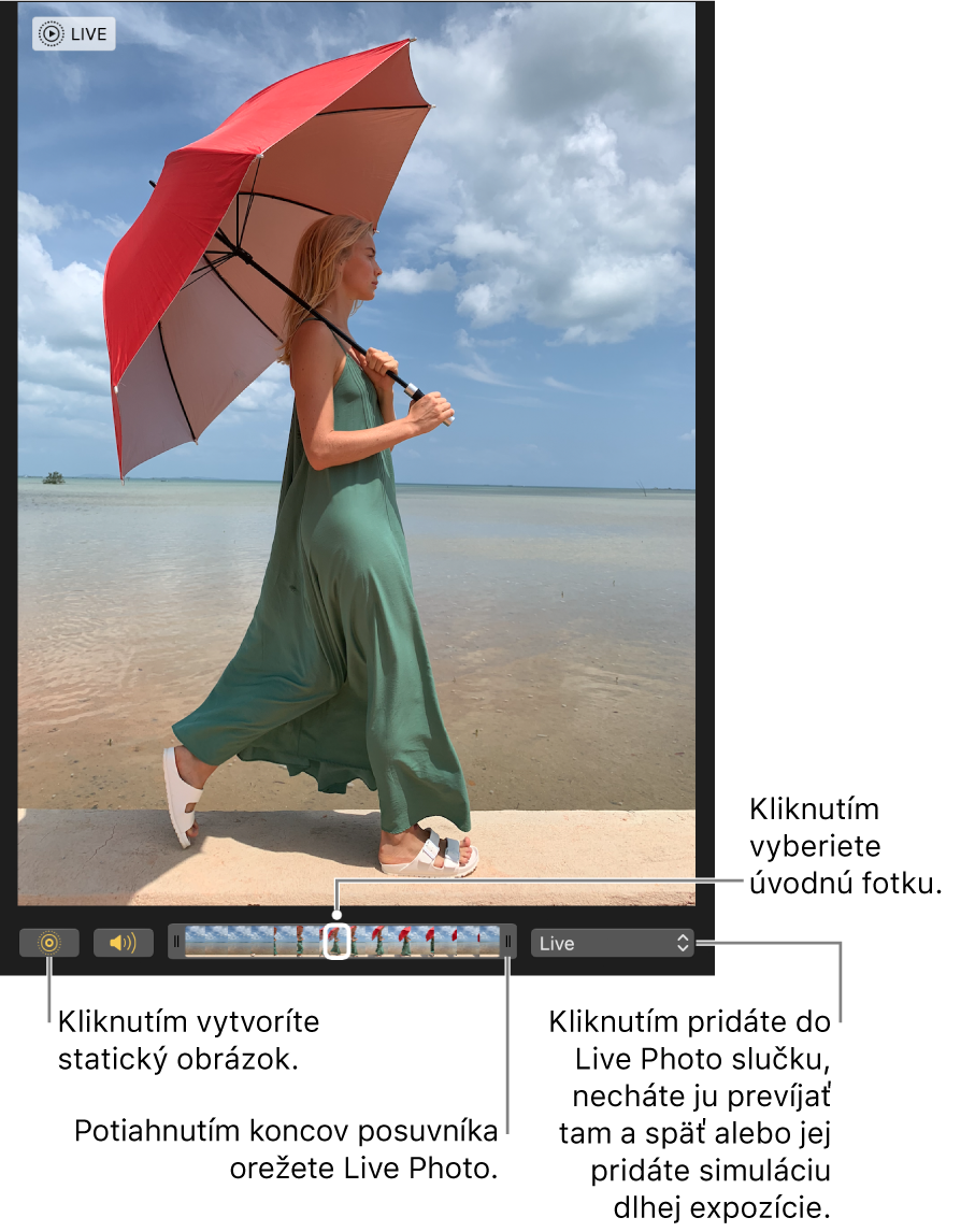 Fotka Live Photo v zobrazení úprav s posuvníkom pod fotkou, ktorý zobrazuje snímky fotky. Tlačidlo Live Photo a tlačidlo Reproduktor sa nachádzajú naľavo od posuvníka a na pravej strane sa nachádza vyskakovacie menu, ktoré môžete použiť na pridanie efektu slučky, odrážania alebo dlhej expozície.