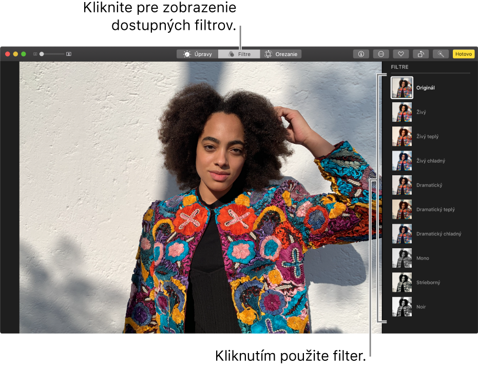 Fotka v zobrazení úprav s filtrami na pravej strane.
