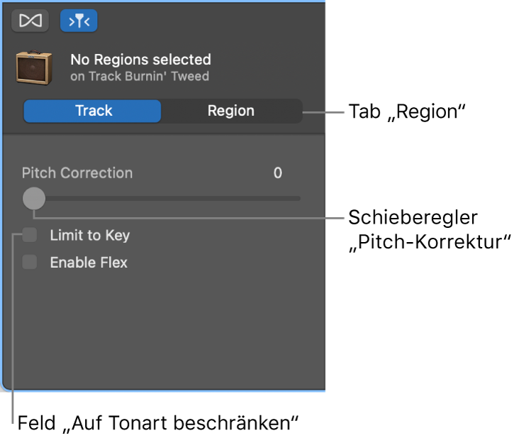 Informationsfenster „Audio-Editor“ im Spurmodus mit dem Regler „Pitch-Korrektur“ und dem Markierungsfeld „Auf Tonart beschränken“