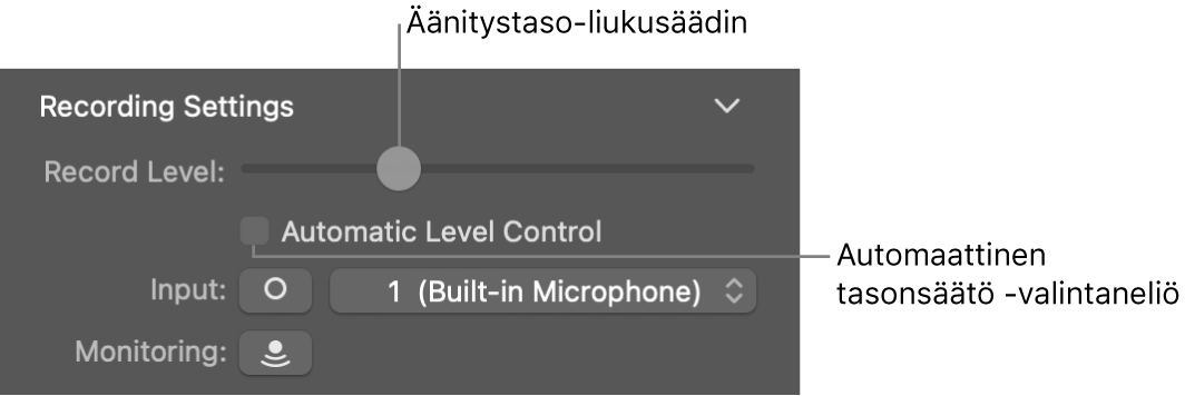 Smart Controlit -inspektorin Äänitystaso-liukusäädin ja Automaattinen tasonsäätö -valintaneliö.