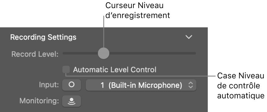 Curseur Niveau d’enregistrement et case Contrôle de niveau automatique dans l’inspecteur Smart Controls.
