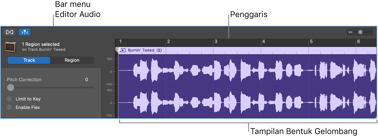 Editor Audio dengan bidang yang dipilih.
