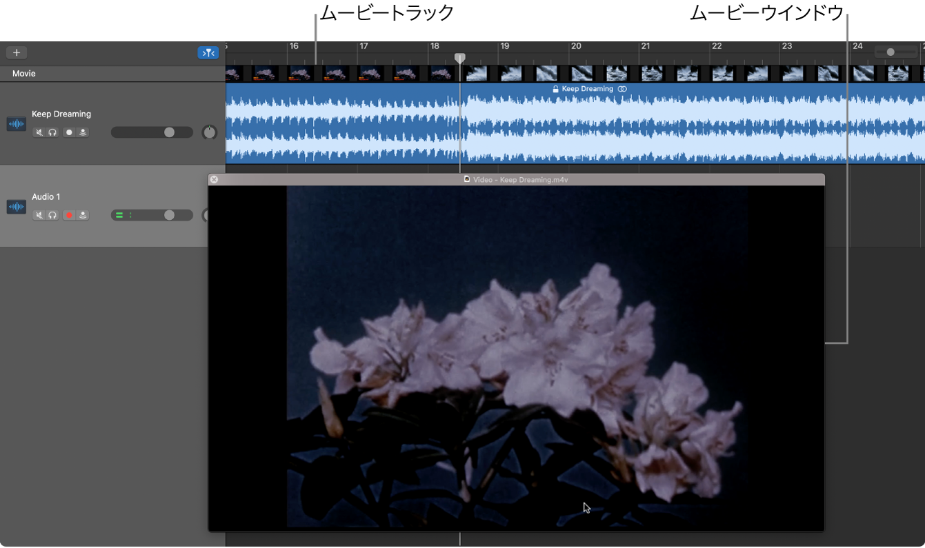 フローティング・ムービー・ウインドウとムービーのオーディオが含まれるトラック。