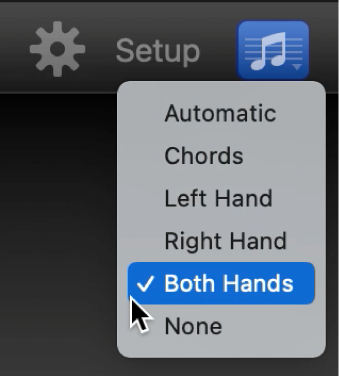 Venstermenu voor de notatieweergave.
