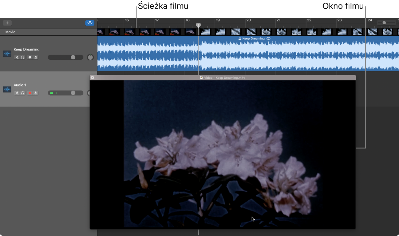 Swobodne okno filmu oraz ścieżka audio filmu.