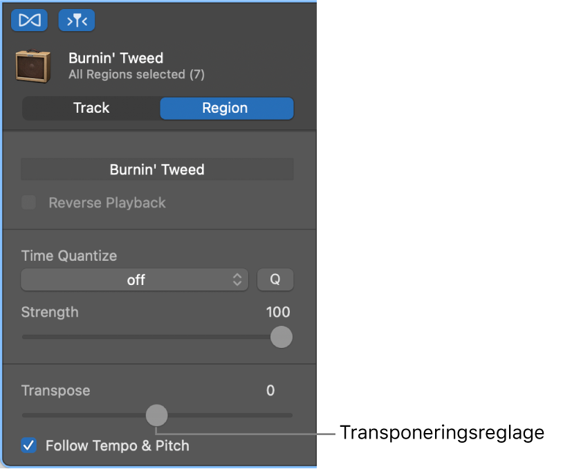 Ljudredigerarens granskare i regionläge med transponeringsreglaget.
