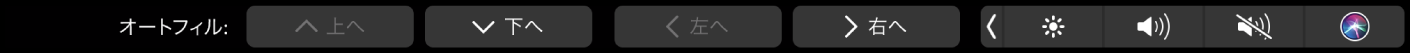 NumbersのTouch Bar。「オートフィル」ボタンが表示されています。これらには、上へ、下へ、左へ、および右へが含まれます。