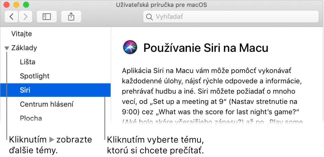 Prehliadač Pomocníka znázorňujúci spôsob zobrazenia tém z postranného panela a spôsob zobrazenia obsahu témy.