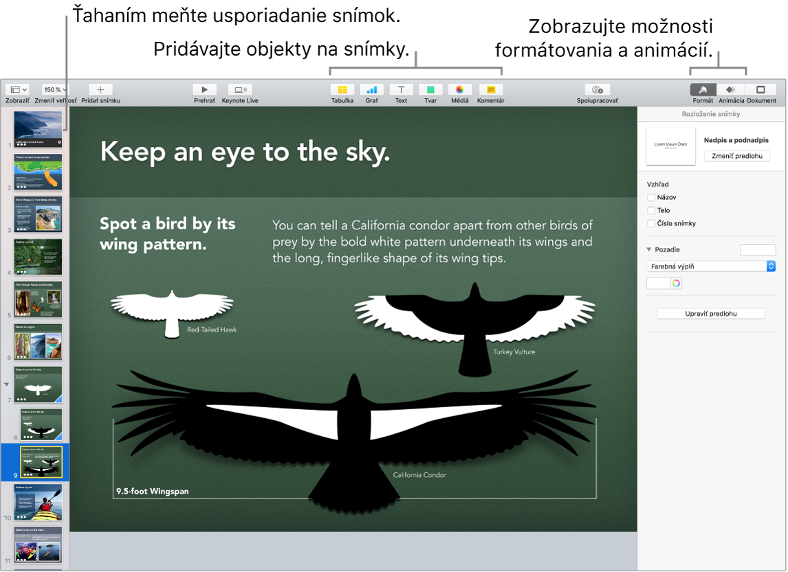 Okno aplikácie Keynote znázorňujúce, ako môžete zmeniť poradie snímok, a s označenými tlačidlami, ktoré slúžia na pridanie objektov na snímky, vrátane možností formátovania a animácie.