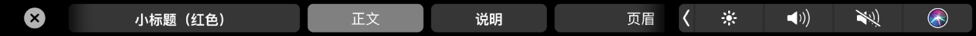 显示段落格式样式(包括大标题、小标题和说明)的 Pages 文稿触控栏。